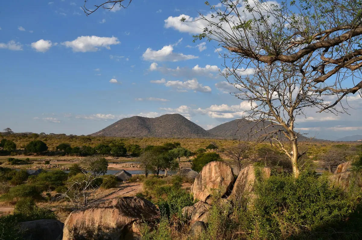 Granieten rotsblokken en heuvels achter een acacia in Ruaha National Park
