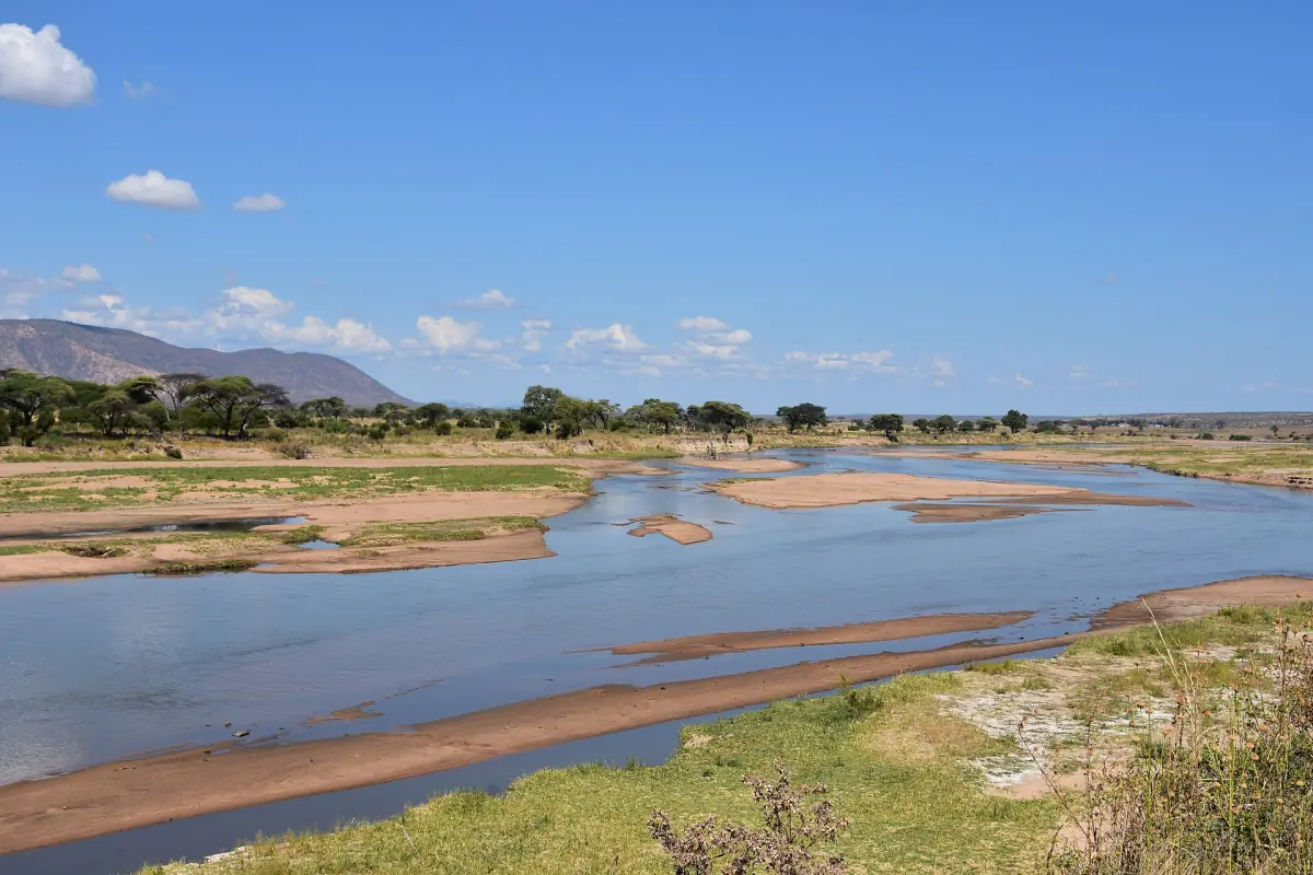 De Great Ruaha-rivier slingert tussen zandbanken onder een blauwe hemel in Ruaha National Park