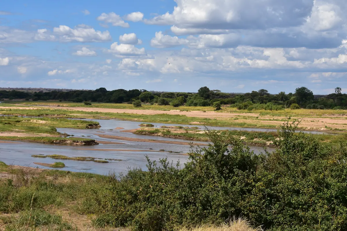 Verzweigte Flussarme des Ruaha River unter Wolkenhimmel