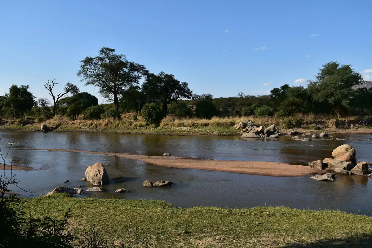 Ruaha-rivier met rotsen, een zandbank en acacia's langs de oever